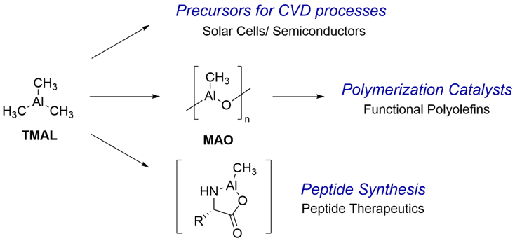 HP山本先生対談_テーマ画像
